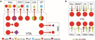 VTA GABA Neurons at the Interface of Stress and Reward